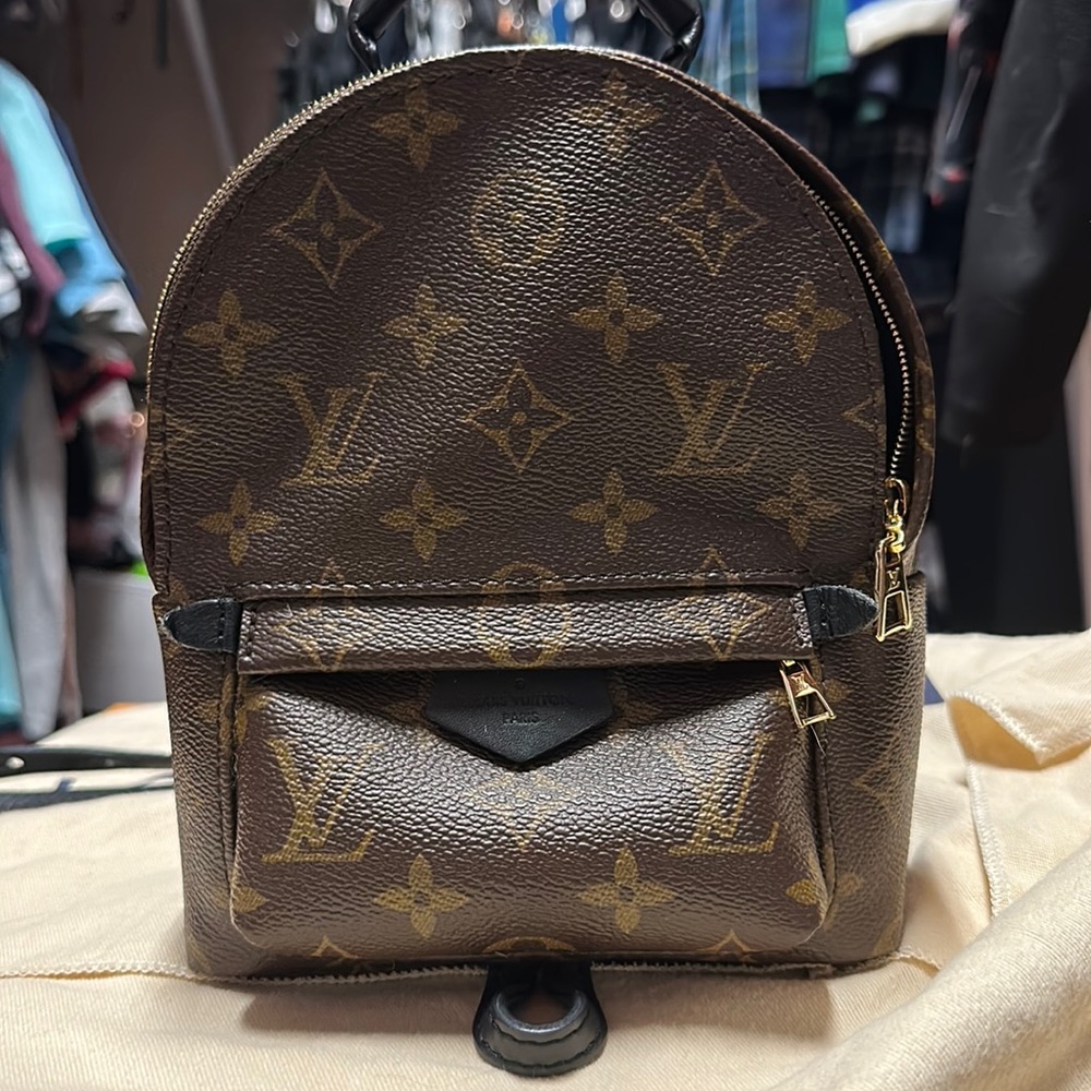 LV Palm Springs Mini
